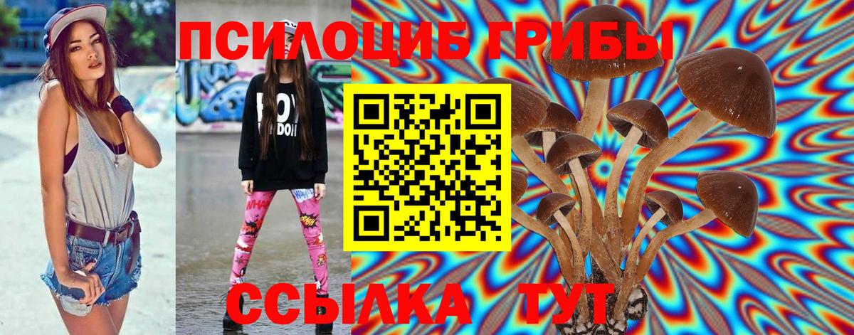 Псилоцибиновые грибы Psilocybine cubensis Азов