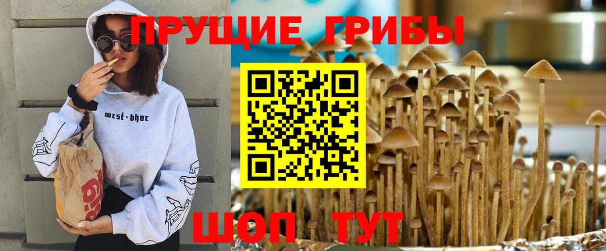 Азов  купить закладку  Вход с VPN  Псилоцибиновые грибы мухоморы  Псилоцибиновые грибы GOLDEN TEACHER 